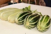 吃瓜香的网红叫什么,揭秘网红背后的故事