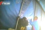 马戏团爆料动物视频播放,动物表演幕后真相揭露