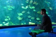 海洋天堂 在线观看,探寻深海奥秘的奇幻之旅
