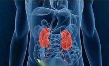 娱乐吃瓜酱胰腺癌,娱乐吃瓜酱背后的健康警示